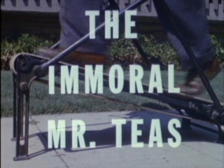 immoral mr. tees/immoral mr. teas (1959, usa, dir. russ meyer) grandpa