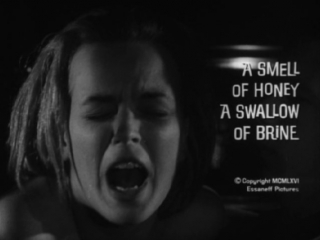 a smell of honey, a swallow of brine (1966, usa, dir. byron mabe)