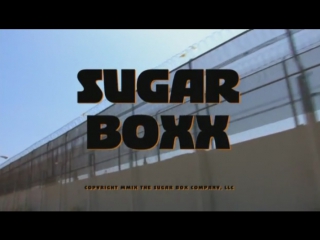 sugar boxx (2009, usa, dir. cody jarrett)